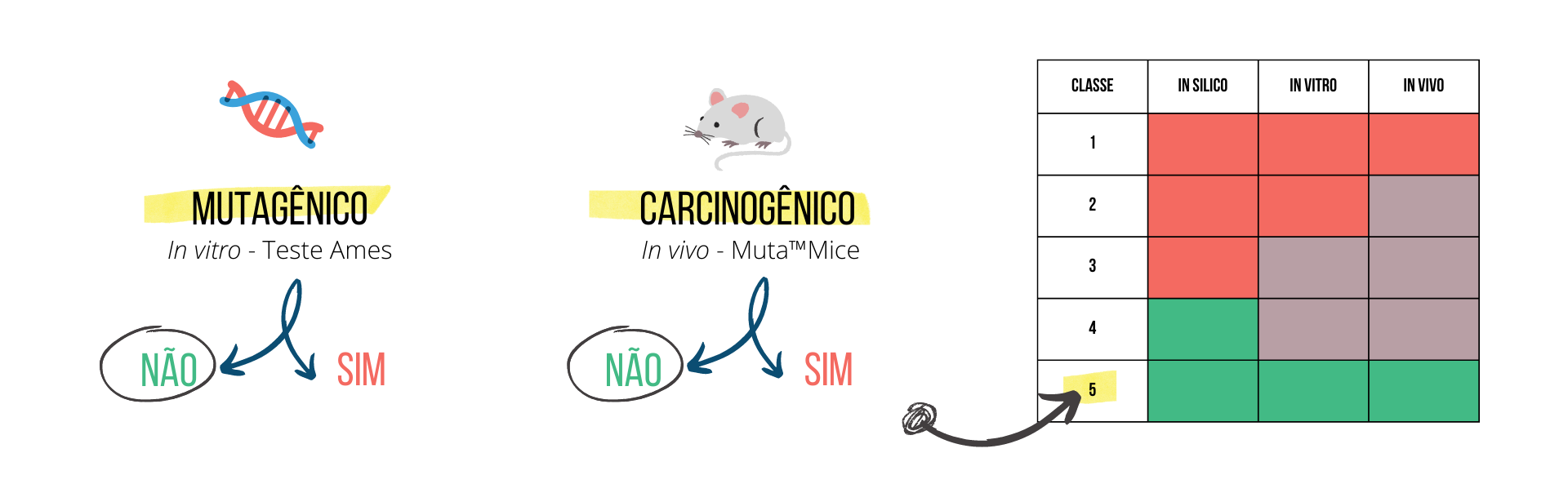 Genotoxicidade da impureza N-nitroso da valsartana