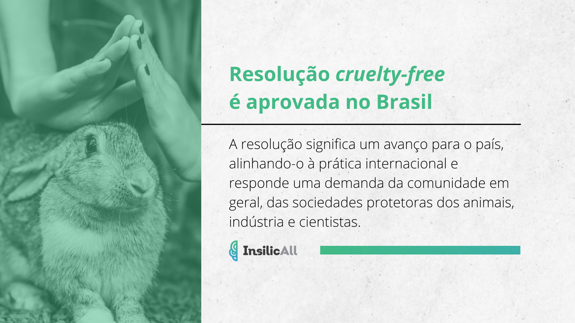 Resolução cruelty-free é aprovada no Brasil